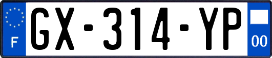 GX-314-YP