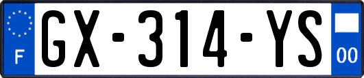 GX-314-YS