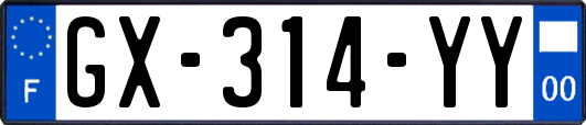 GX-314-YY