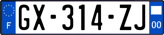 GX-314-ZJ