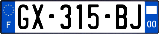 GX-315-BJ