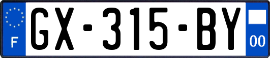 GX-315-BY