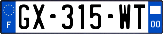 GX-315-WT
