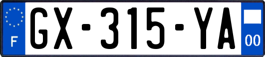 GX-315-YA
