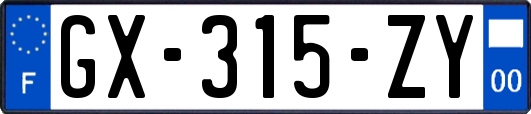 GX-315-ZY
