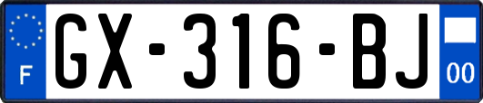 GX-316-BJ
