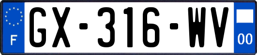 GX-316-WV