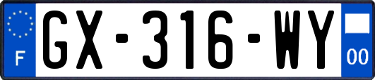GX-316-WY