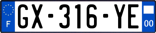 GX-316-YE