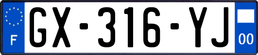 GX-316-YJ
