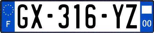 GX-316-YZ