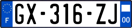GX-316-ZJ