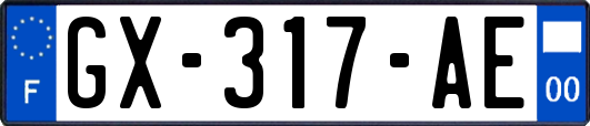 GX-317-AE