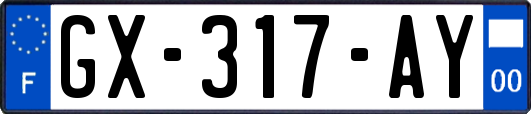 GX-317-AY