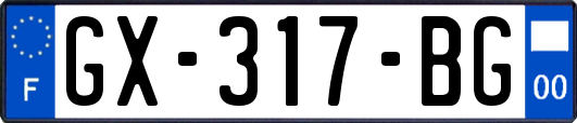 GX-317-BG