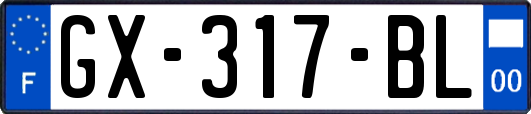 GX-317-BL