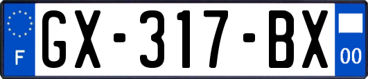 GX-317-BX