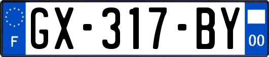 GX-317-BY