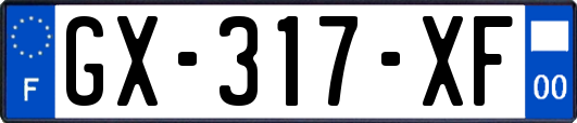 GX-317-XF