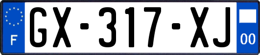 GX-317-XJ