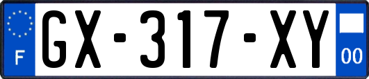 GX-317-XY