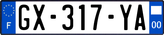 GX-317-YA