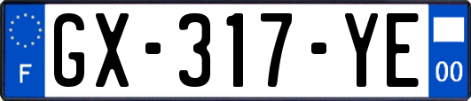 GX-317-YE