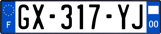 GX-317-YJ