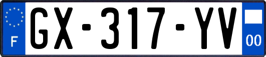 GX-317-YV