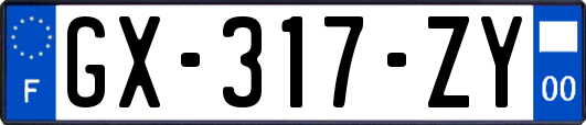 GX-317-ZY