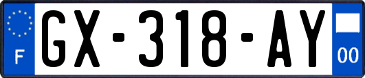 GX-318-AY