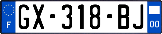 GX-318-BJ