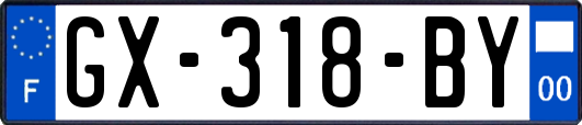 GX-318-BY