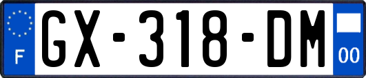 GX-318-DM
