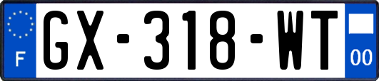 GX-318-WT