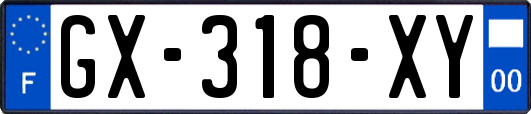GX-318-XY