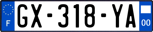 GX-318-YA