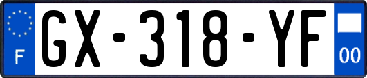 GX-318-YF