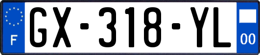 GX-318-YL