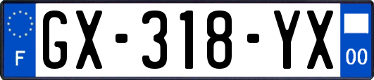 GX-318-YX