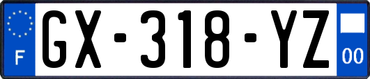 GX-318-YZ