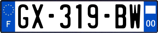 GX-319-BW