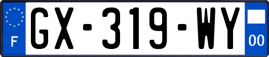 GX-319-WY