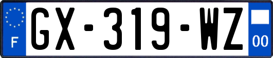GX-319-WZ