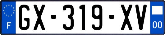 GX-319-XV