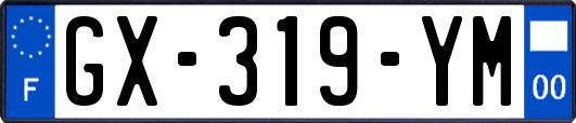 GX-319-YM