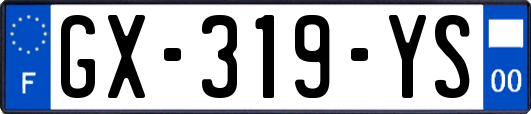 GX-319-YS