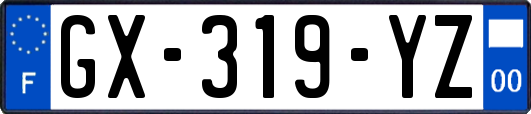 GX-319-YZ