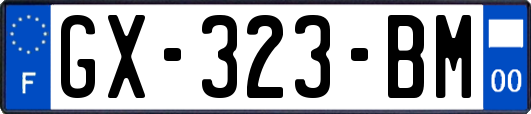 GX-323-BM