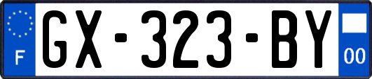 GX-323-BY
